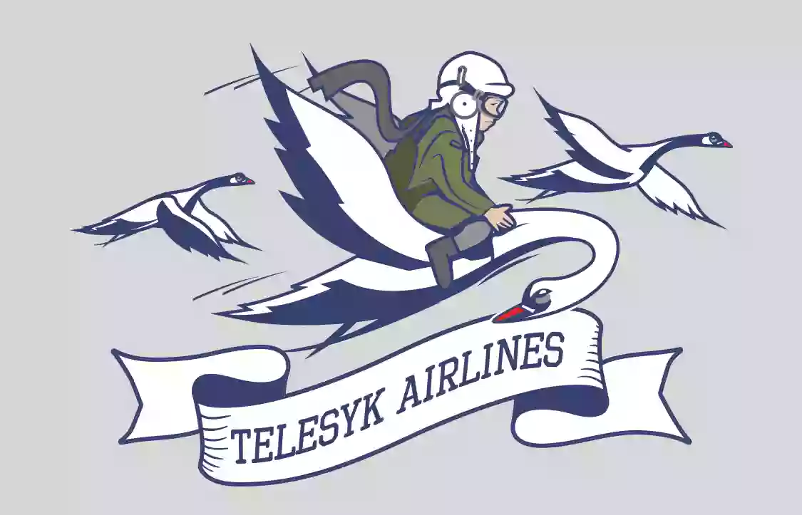 Telesyk Airlines