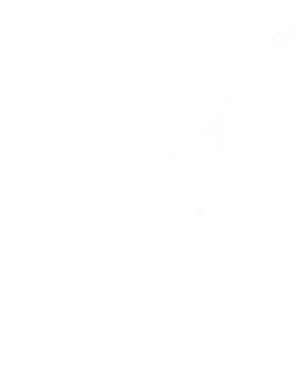 Veterano pizza