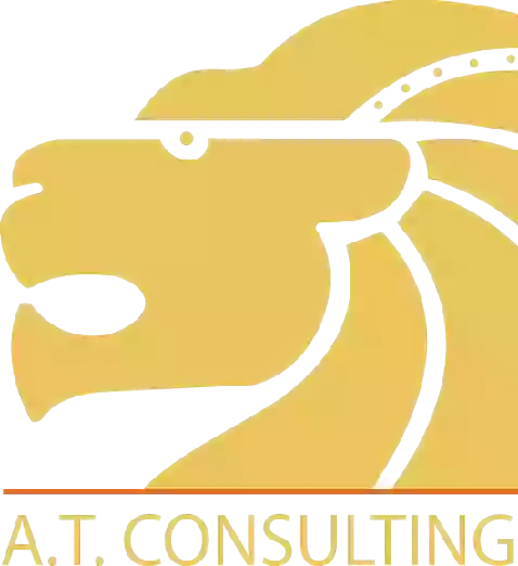 "A&T CONSULTING"