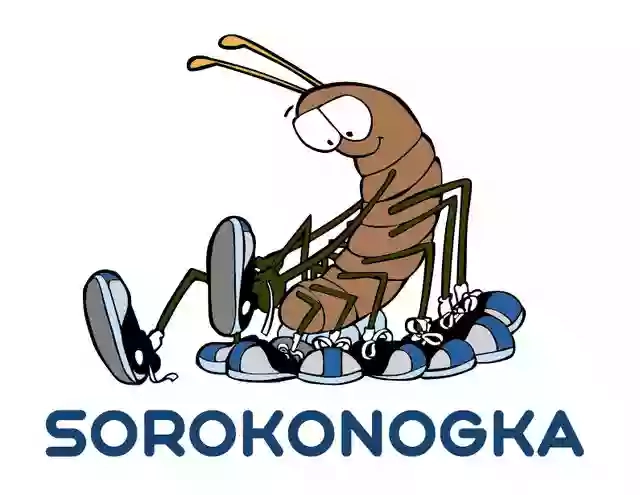 sorokonogka.com.ua