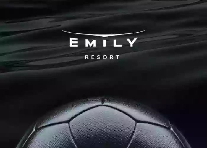 Емілі Резорт | Emily Resort - medical, sport, entertainment.