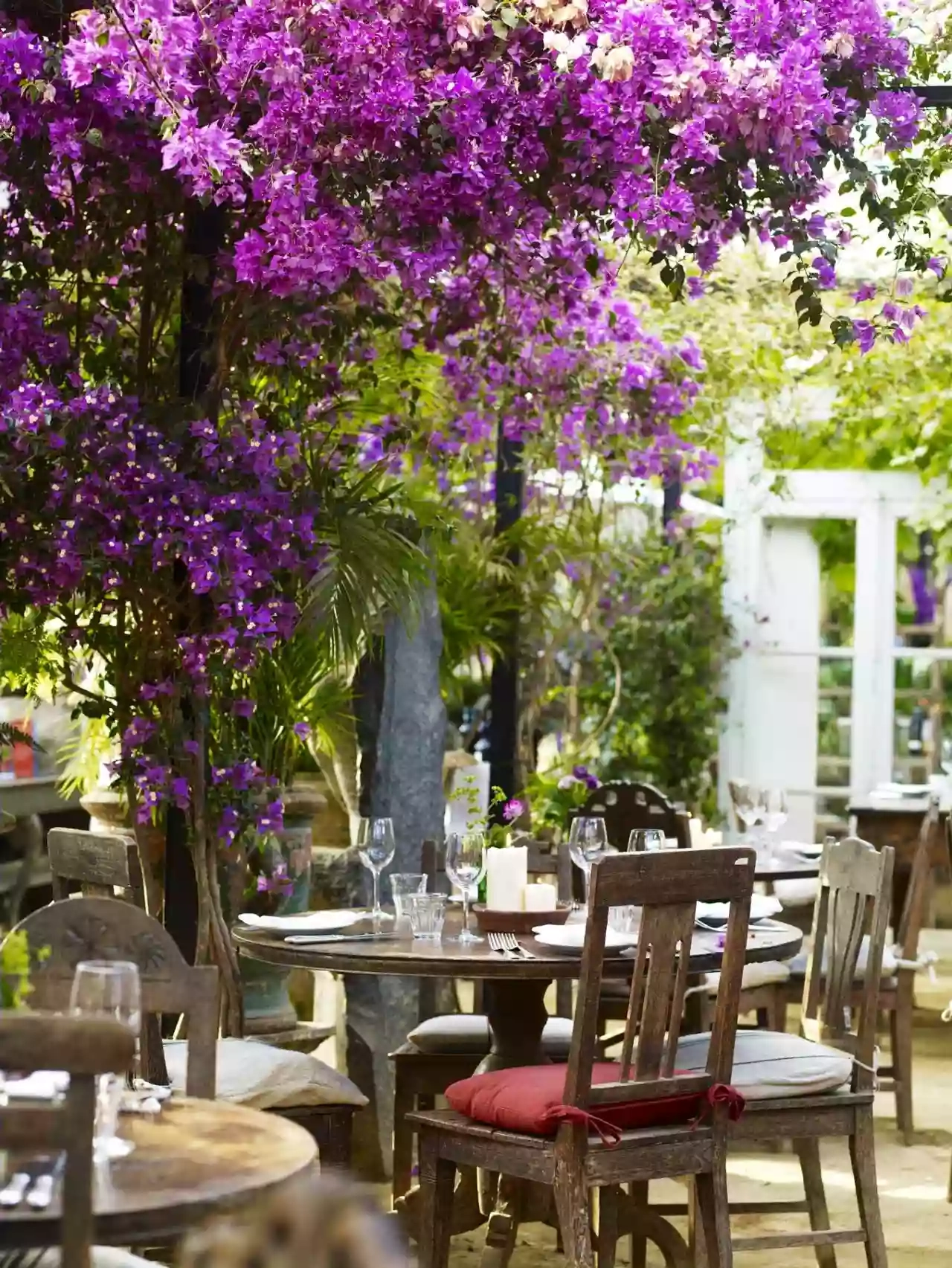 Petersham Nurseries Café, Richmond