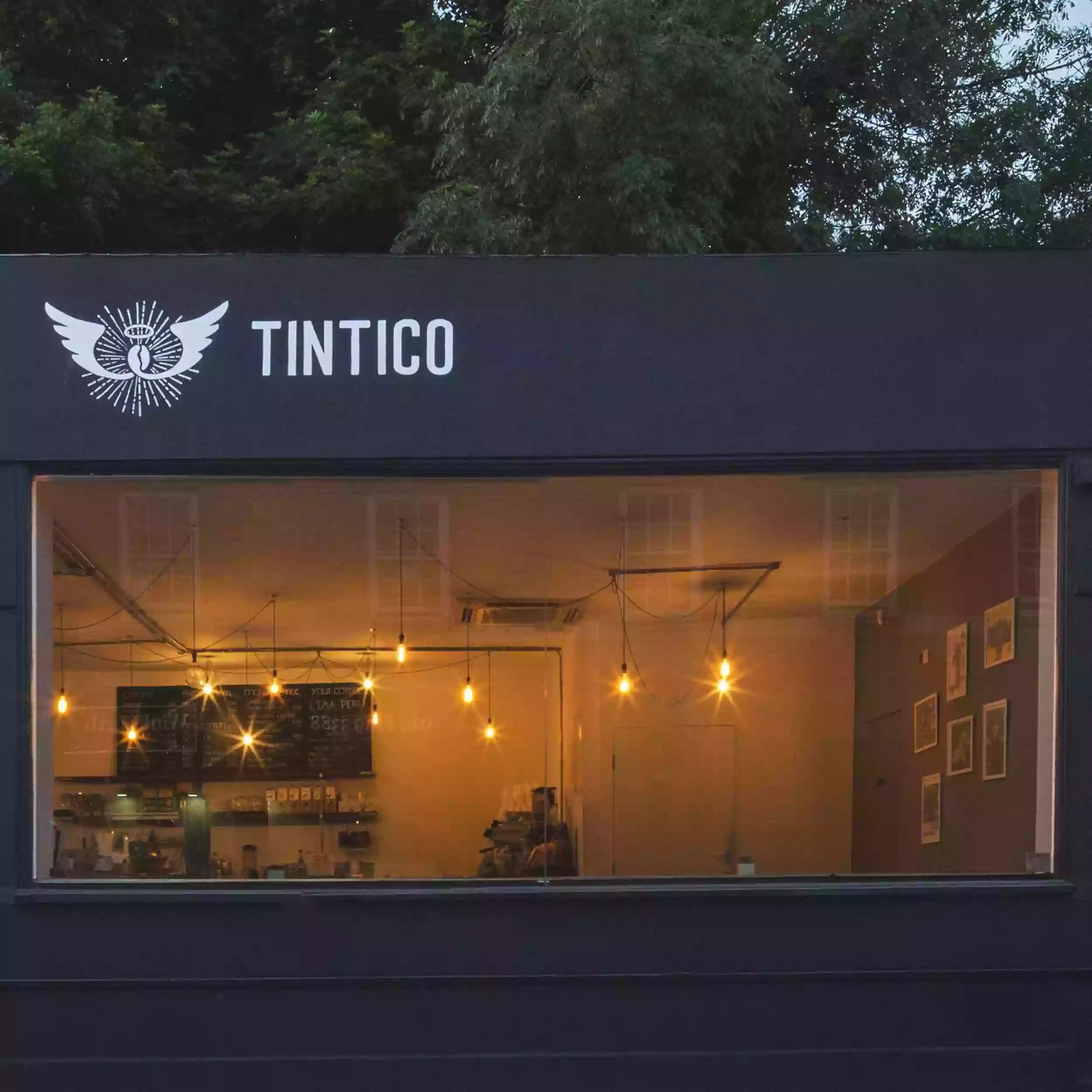 Tintico