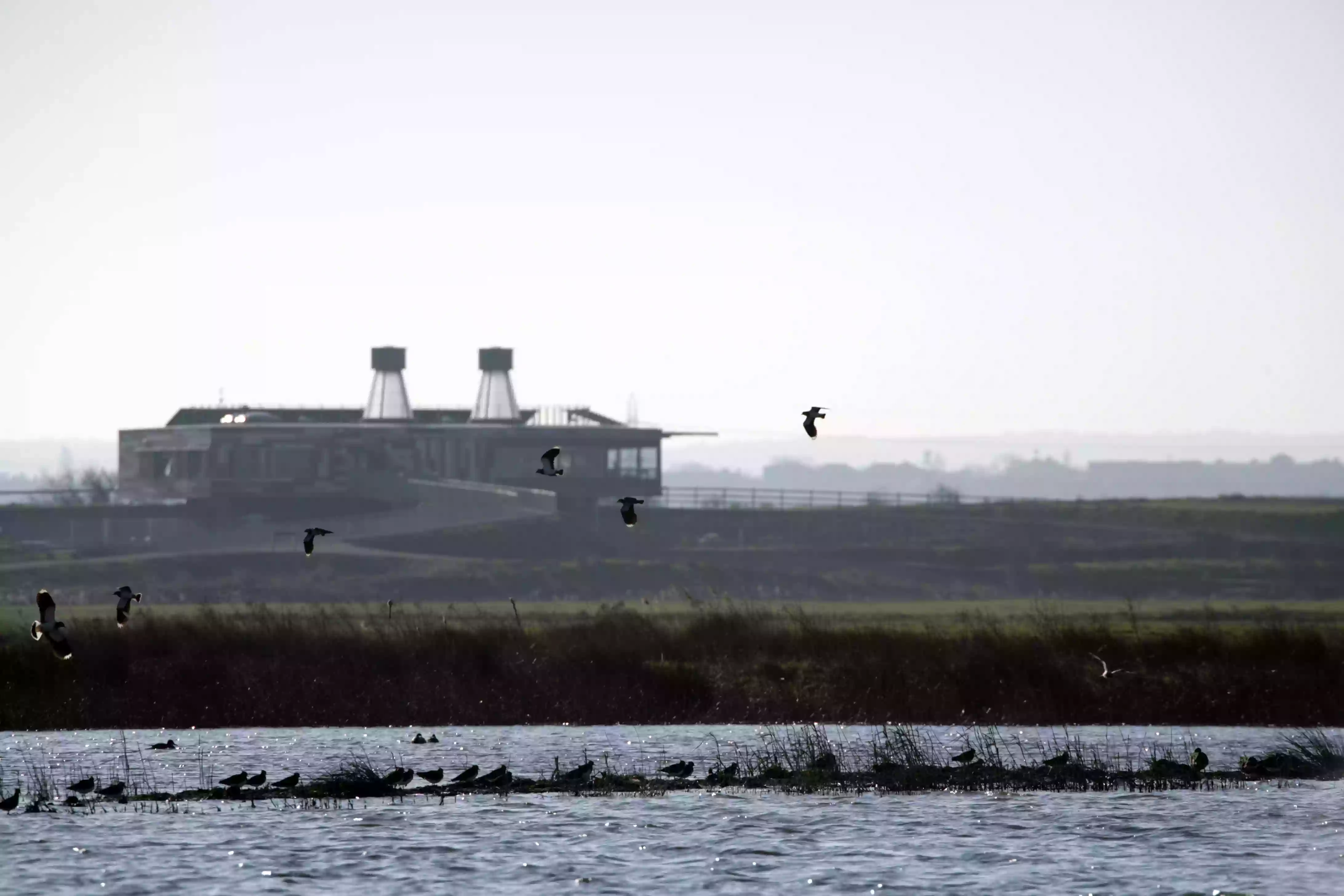 RSPB Café at Rainham Marshes Nature Reserve