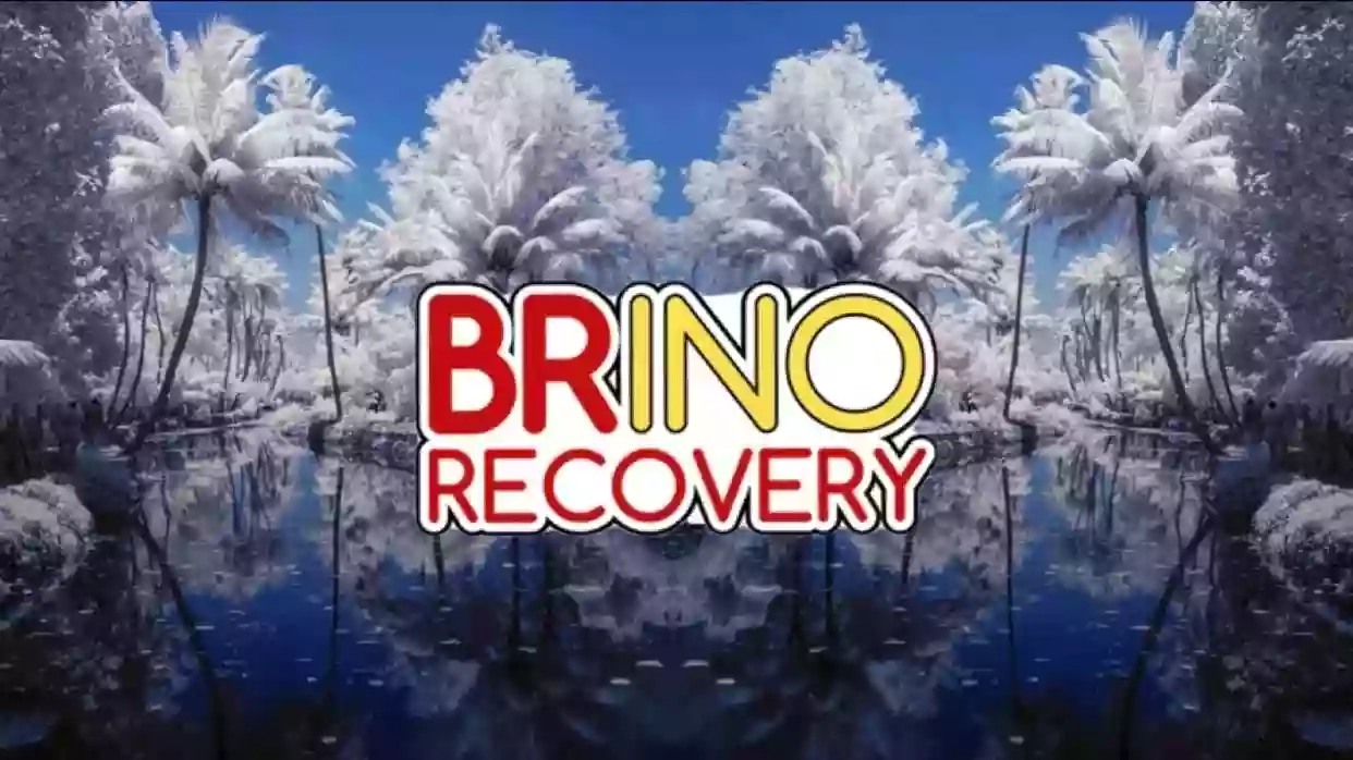 Brino Recovery