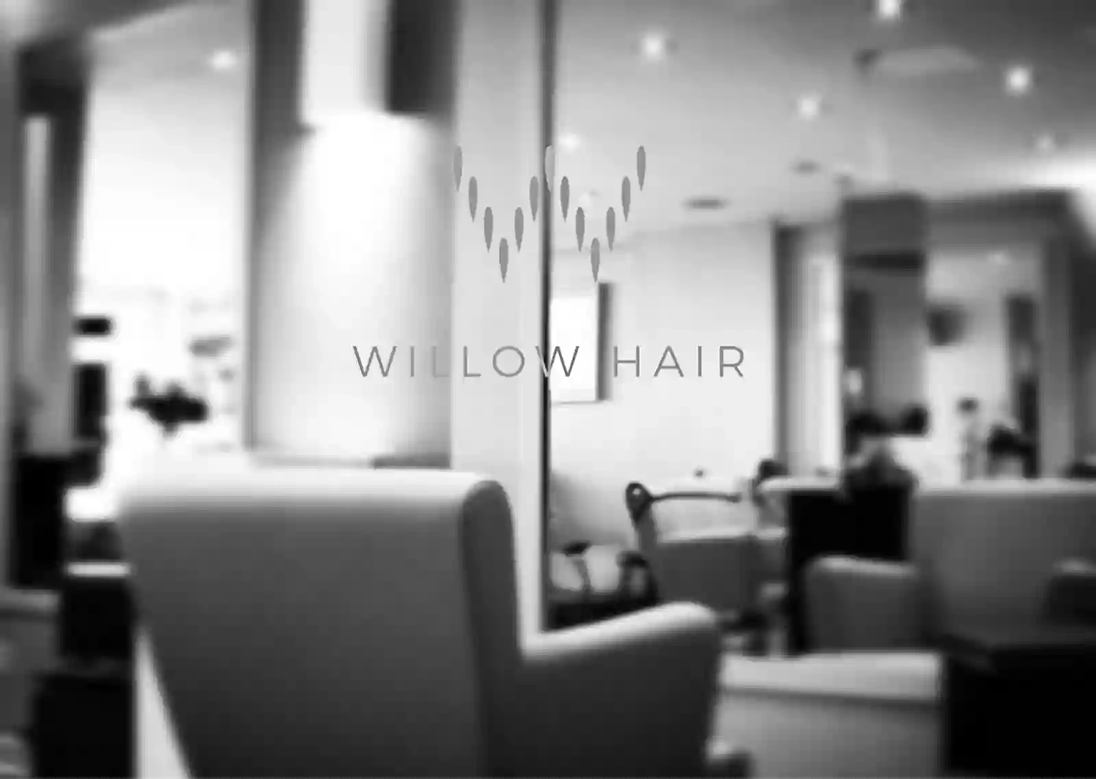 Willow Hair Salon