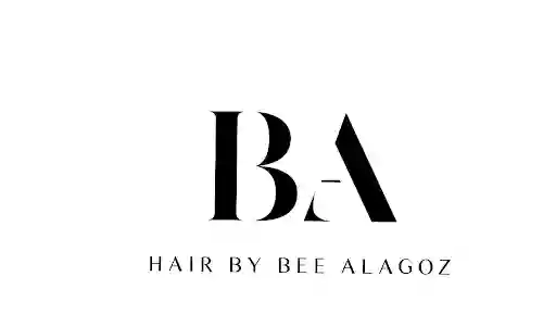 Hair By Bee Alagoz