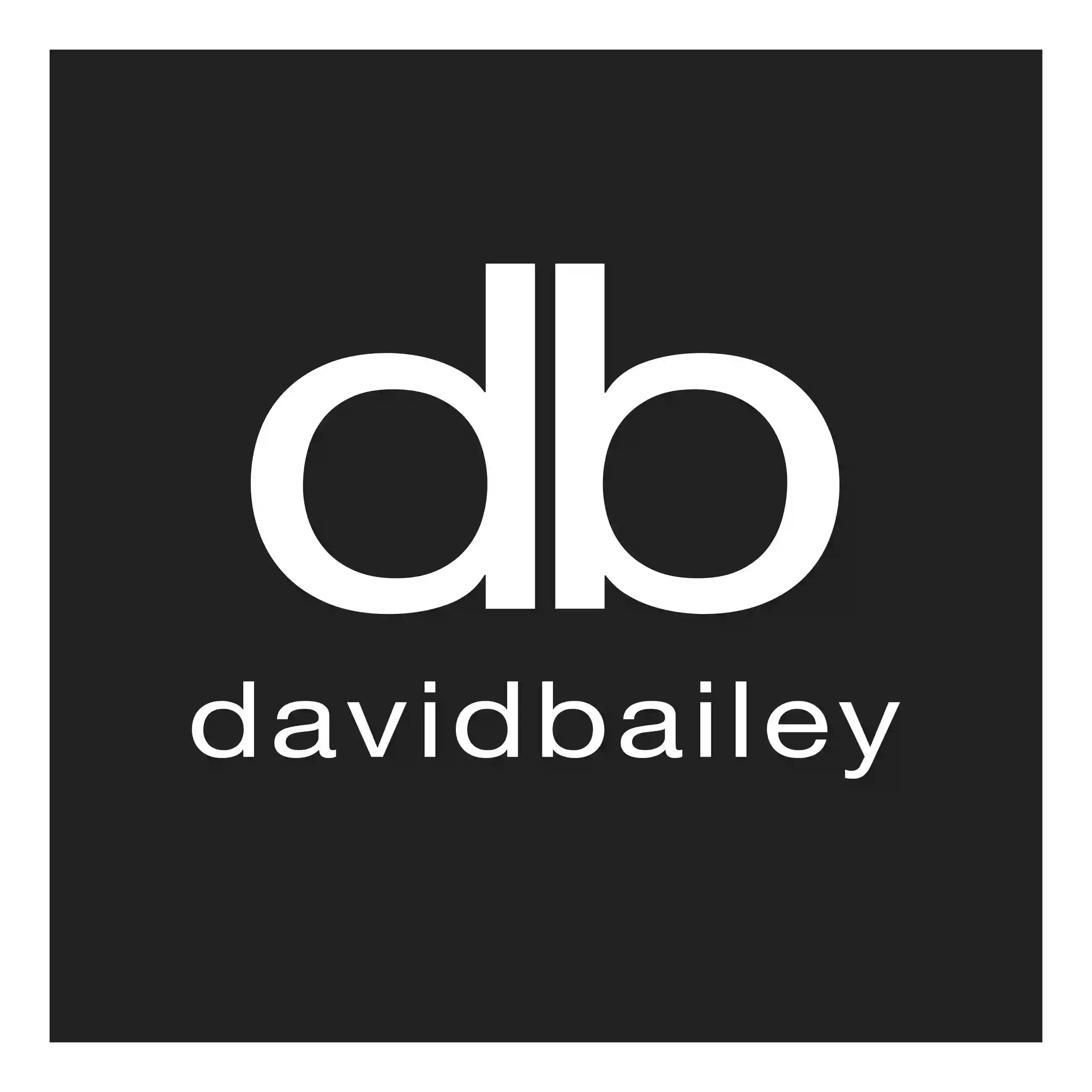 David Bailey Home Interiors