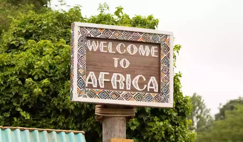 Into Africa