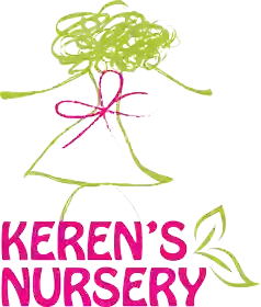 Keren's Nursery Belsize Park