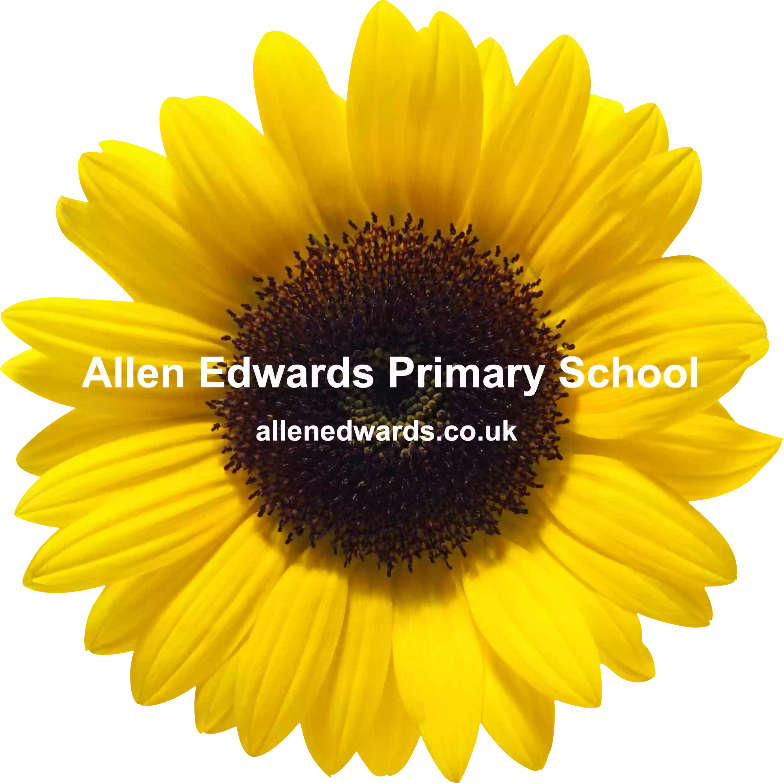 Allen Edwards Primary School