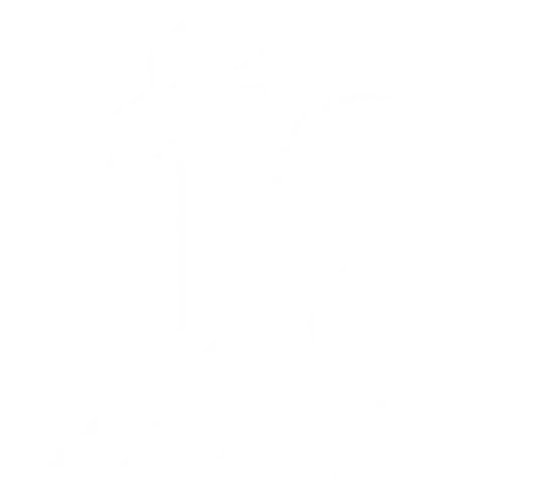 F9 Consulting