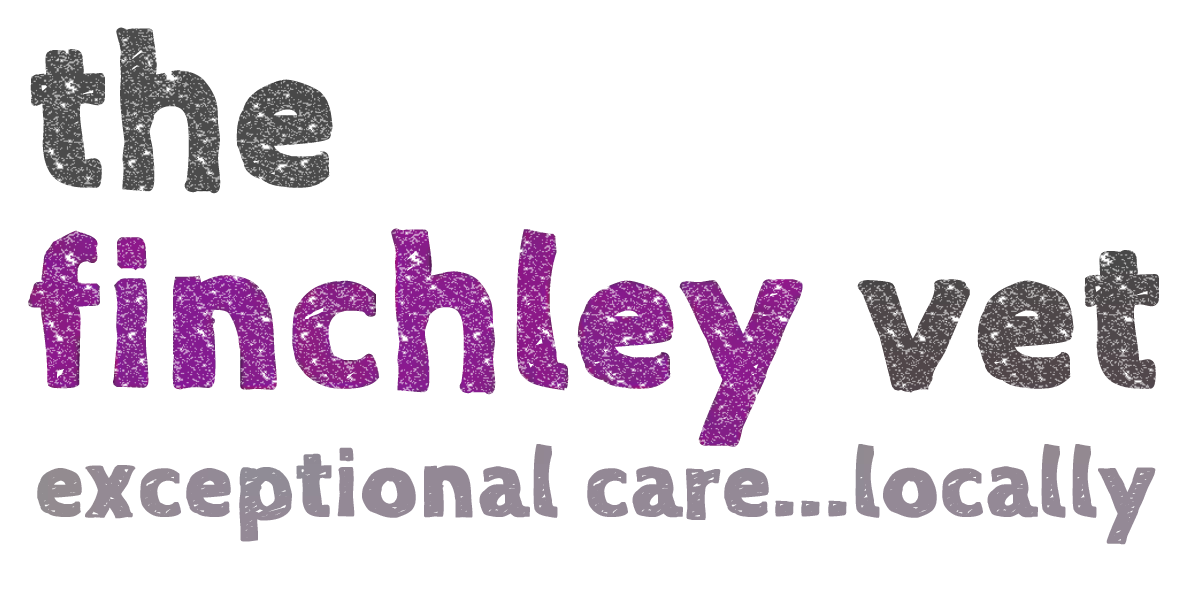 The Finchley Vet