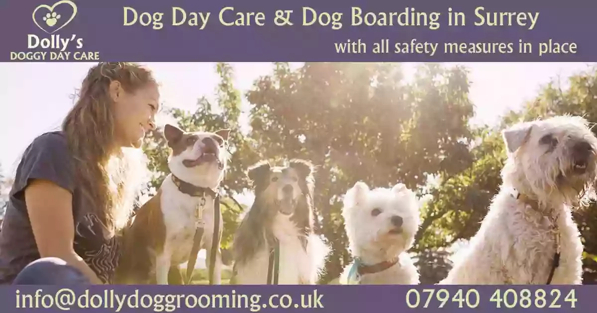 Dolly's Dog Day Care & Dog Boarding in Cobham, Surrey
