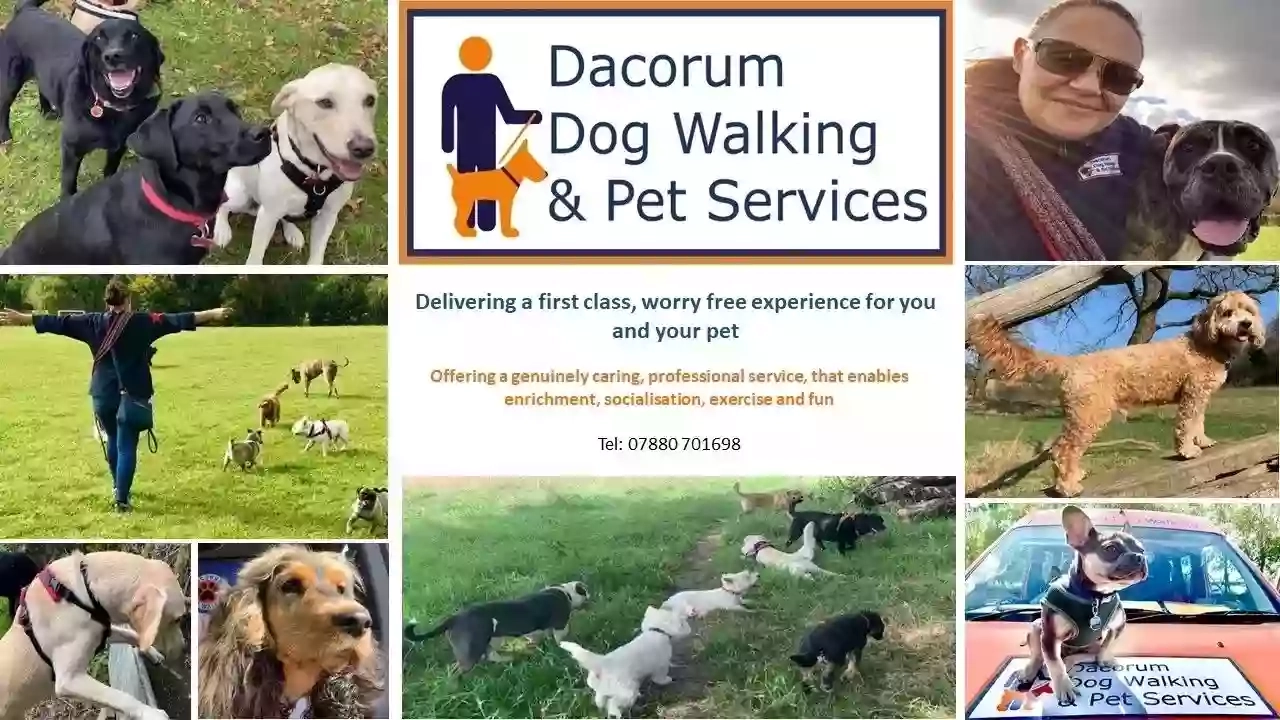 Dacorum Dog Walking & Pet Services