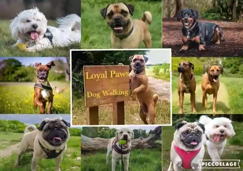 Loyal Paws Pet Service