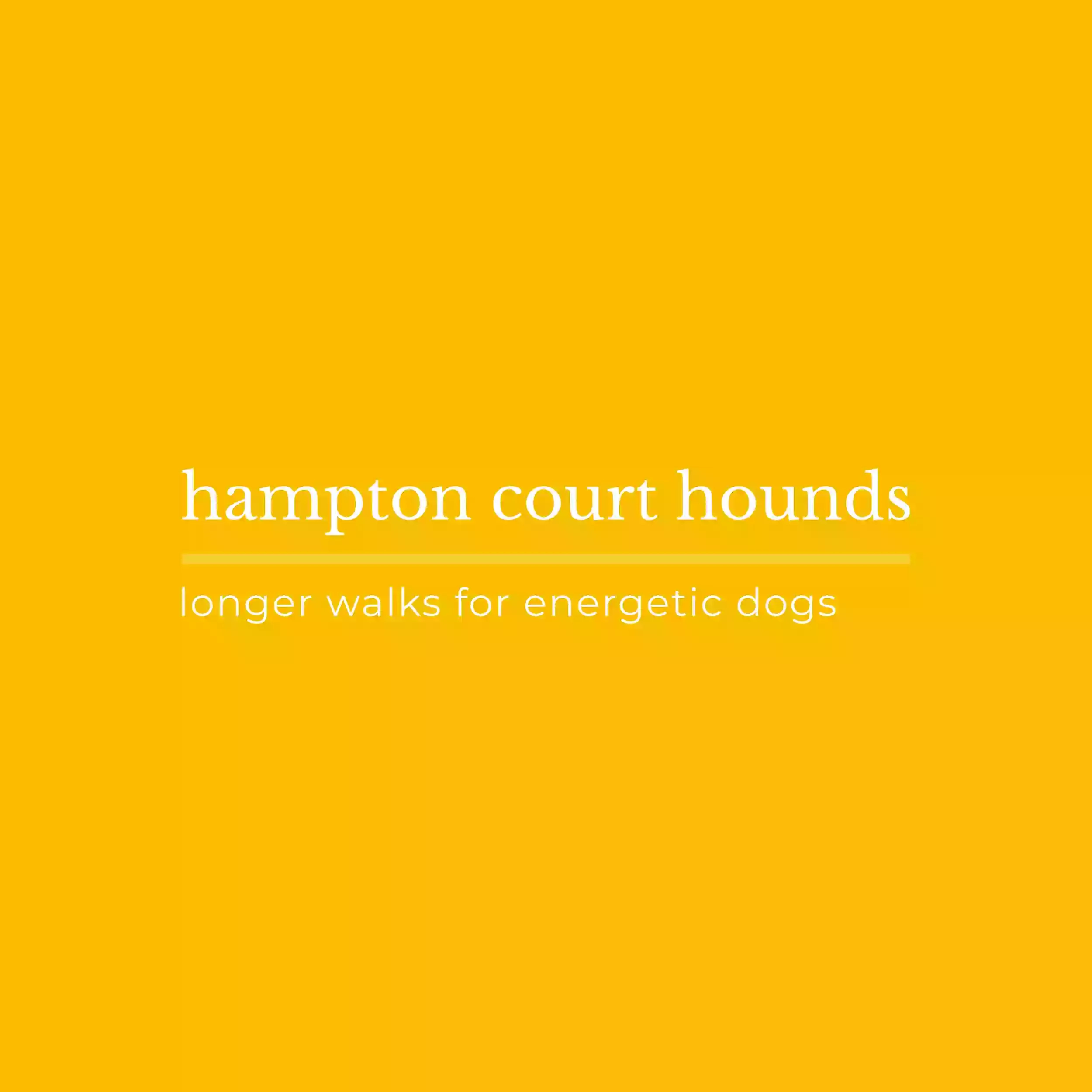 Hampton Court Hounds