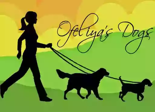 Ofeliya's Dogs - Dog Services