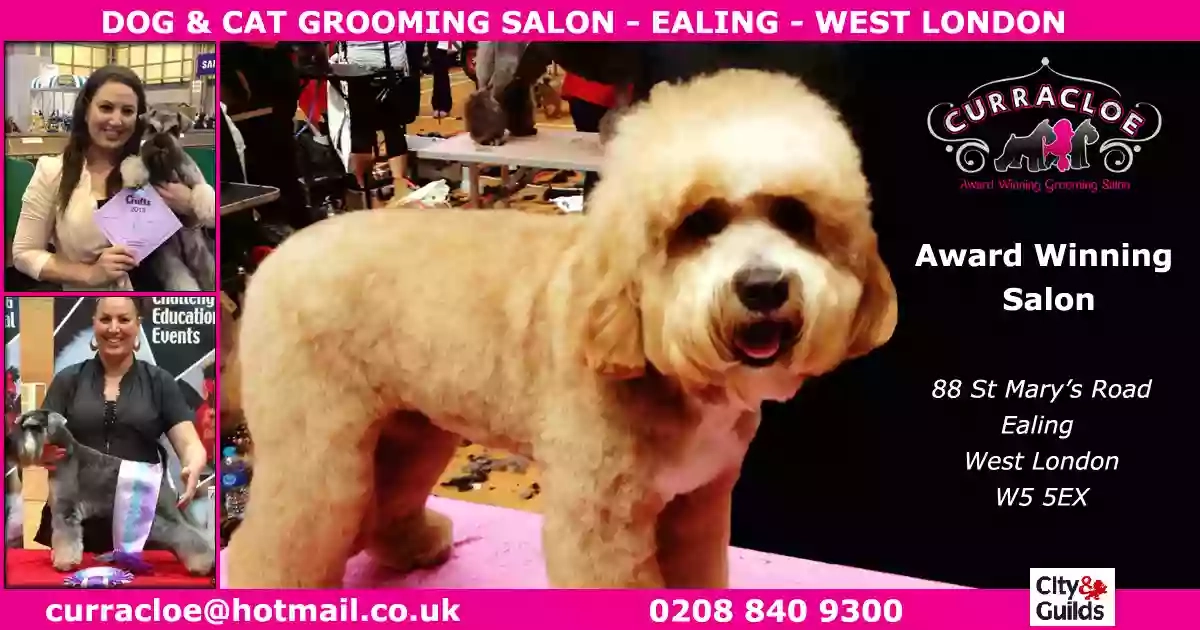 Curracloe Dog Grooming Salon, Ealing, West London