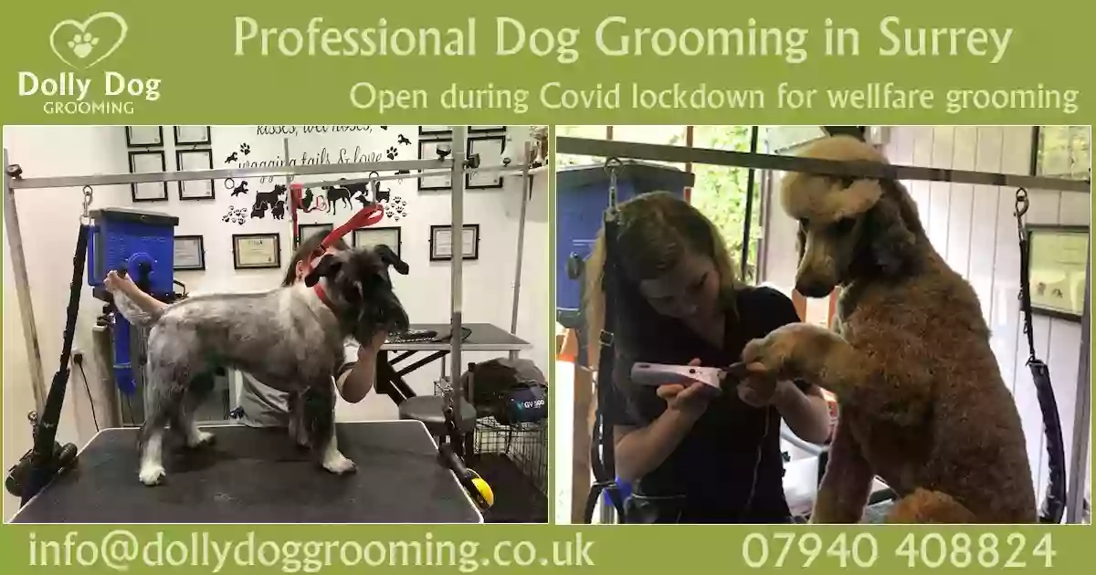 Dolly Dog & Puppy Grooming Salon Cobham Surrey KT11