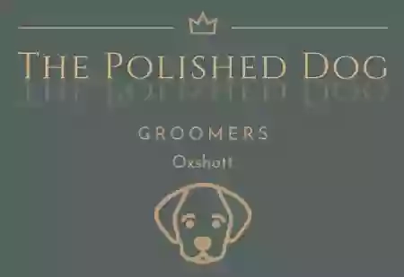 The Polished Dog