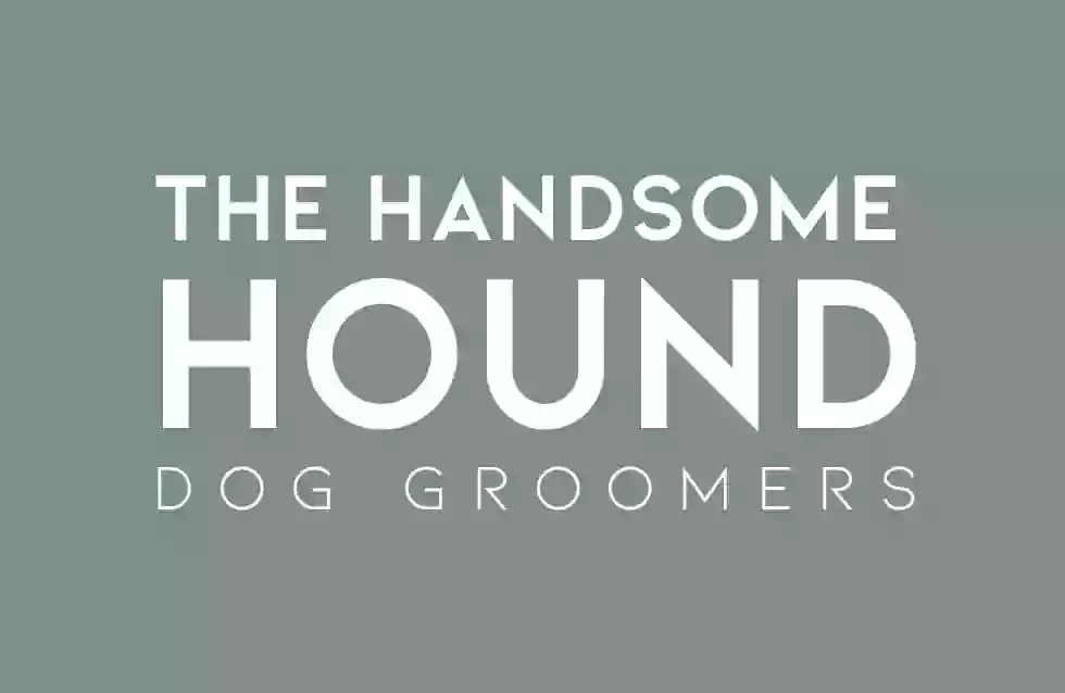 The Handsome Hound