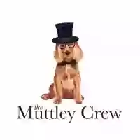 The Muttley Crew London(Groomindales of Hendon)