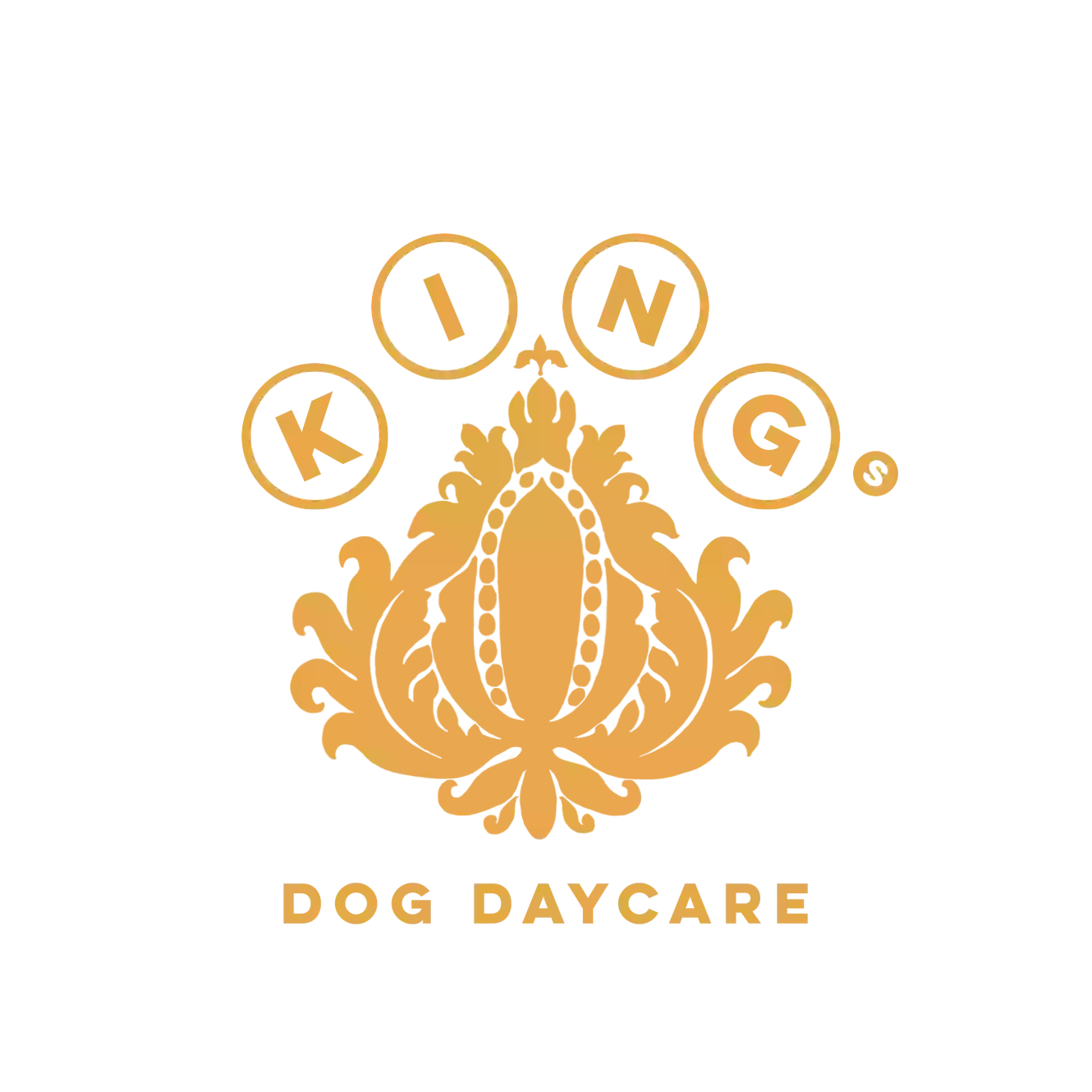 King's Dog Daycare & Groomers