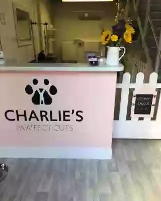 Charlie's Paw'fect Cuts