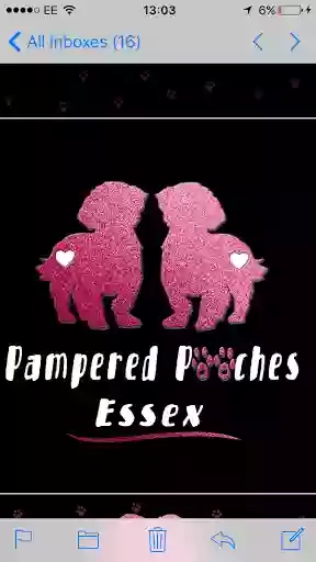 Pampered pooches Essex