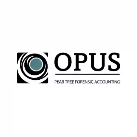 Opus Pear Tree - Forensic Accounting - Croydon