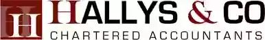 Hallys & Co, Chartered Accountants