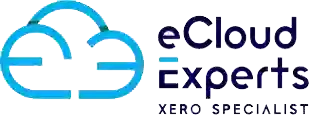 eCloud Experts |Xero Migration | Crypto Accounting | eCommerce Accounting