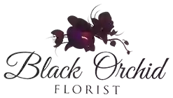 Black Orchid - Florist