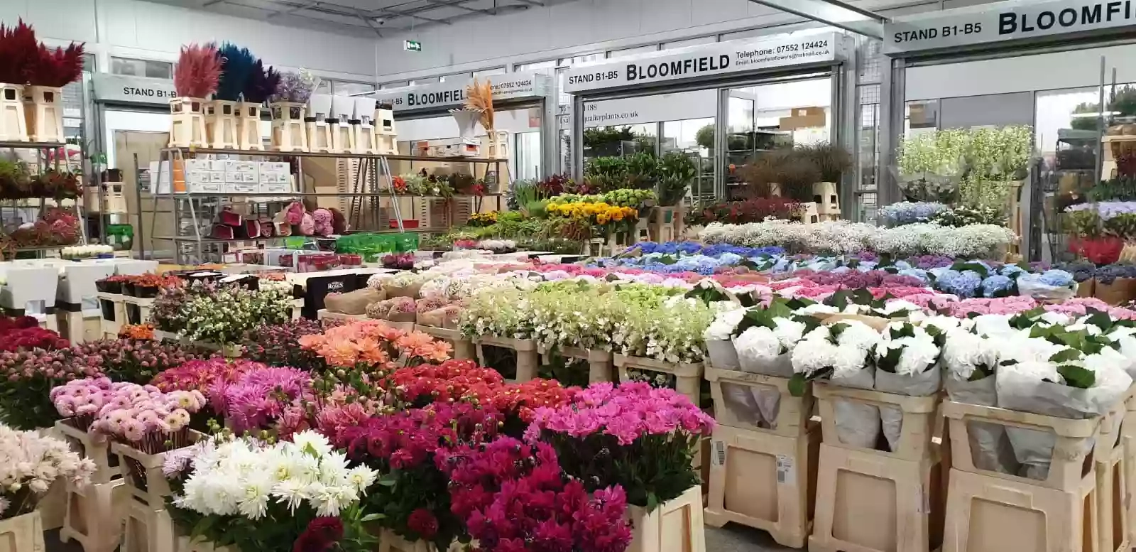 Bloomfield Wholesale Florists' Ltd