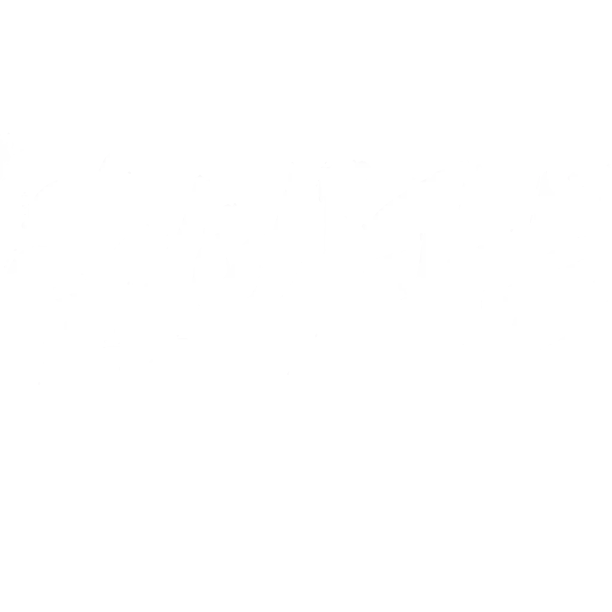 Solid Ink Tattoo Studio