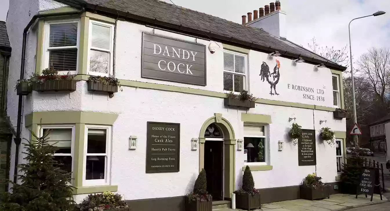 Dandy Cock