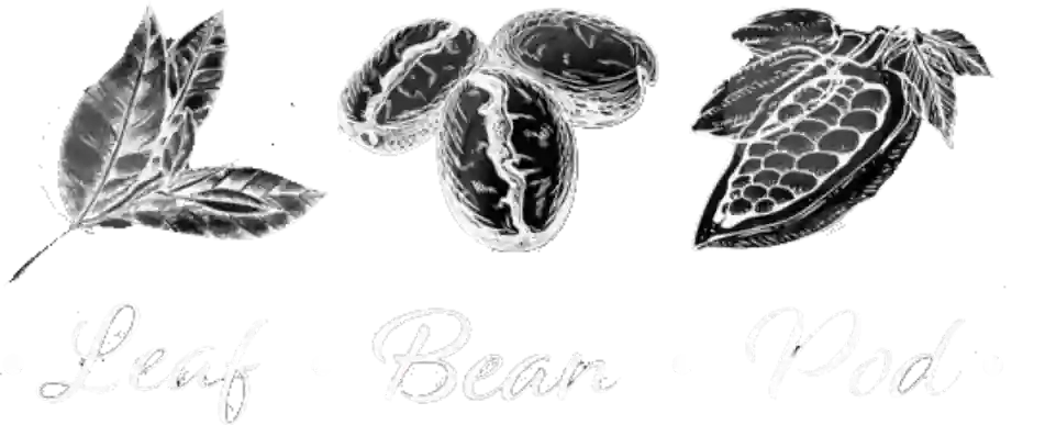 Leaf Bean Pod Café