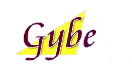 Gybe Sports