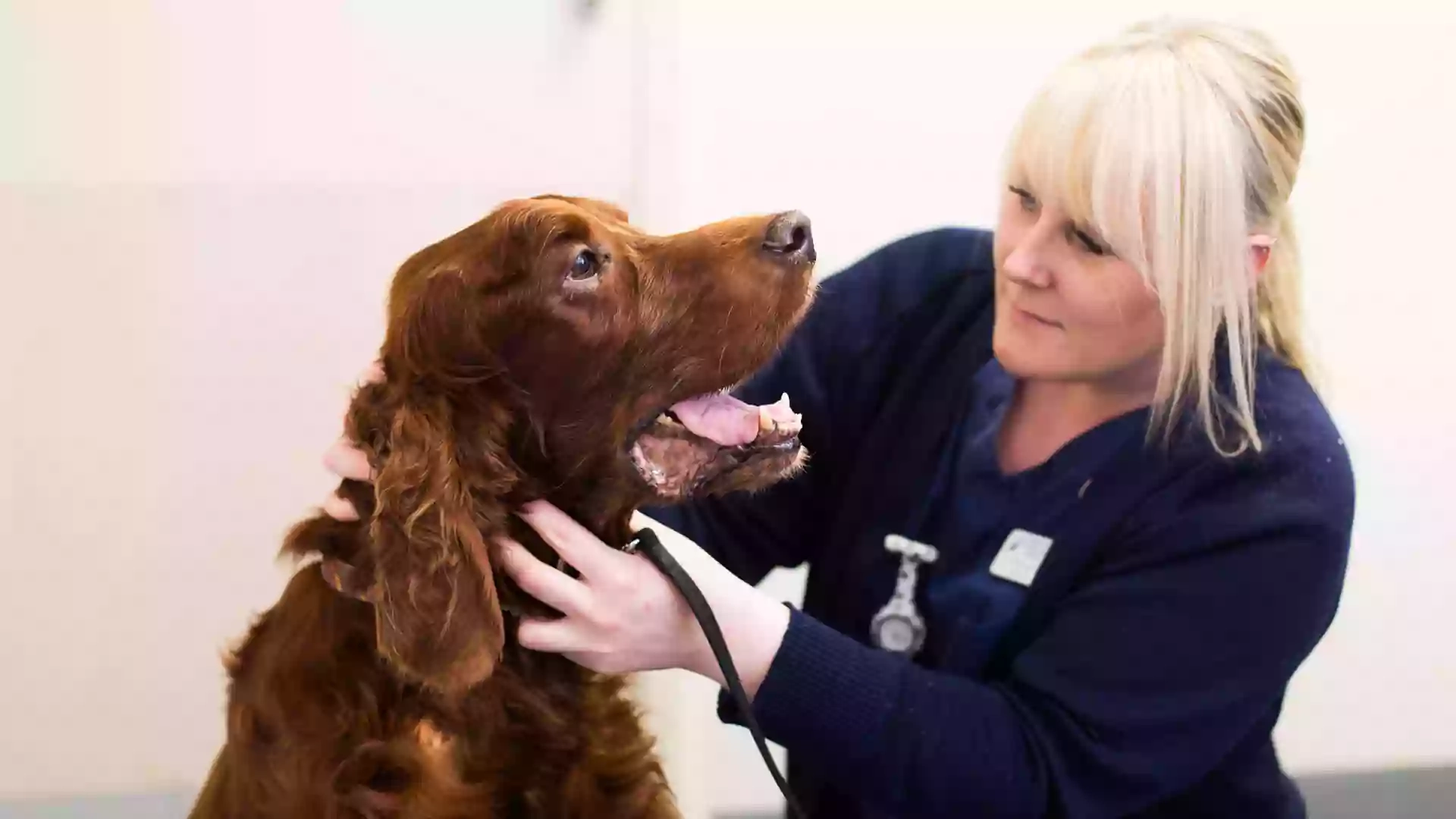 Atherton Veterinary Centre