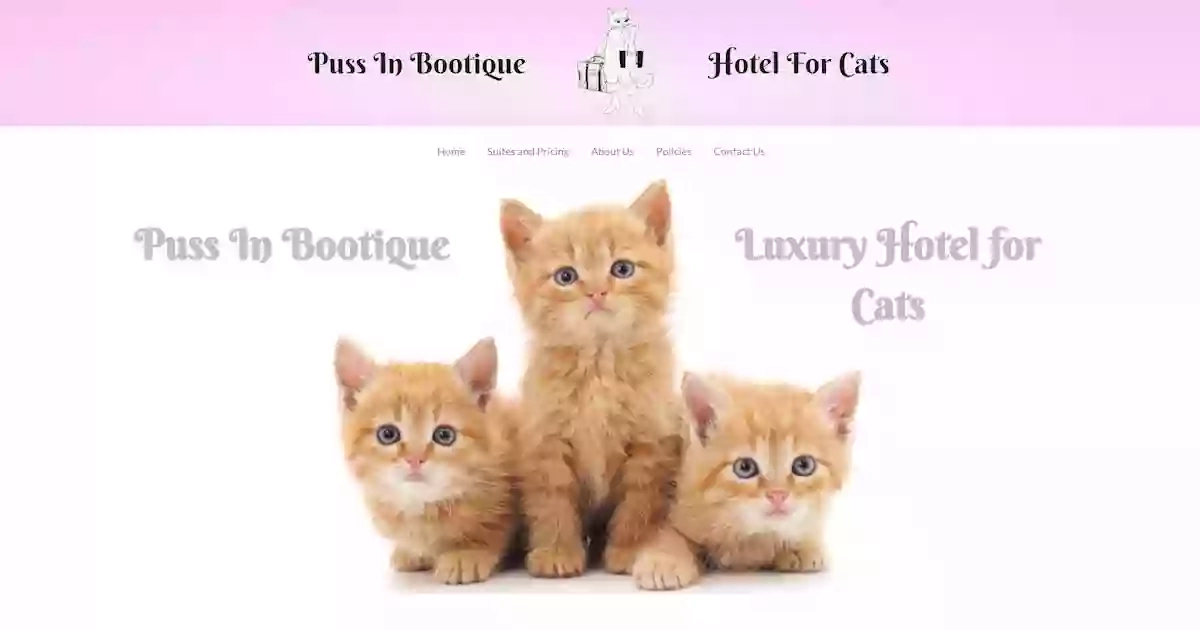 Puss In Bootique - The Luxury Hotel For Cats