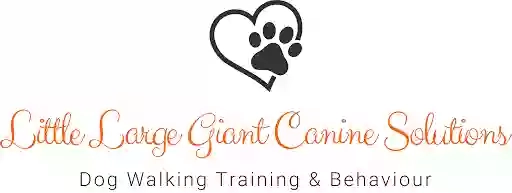 Little Large Giant Dog Walking & Training