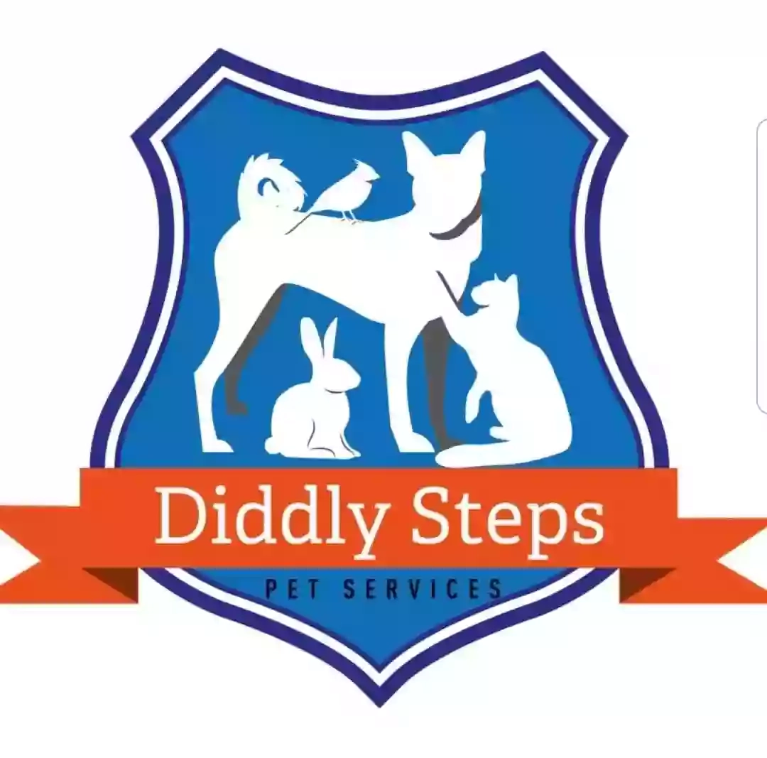 Diddly Steps