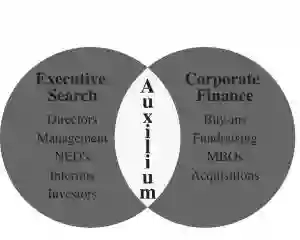 Auxilium Advisory