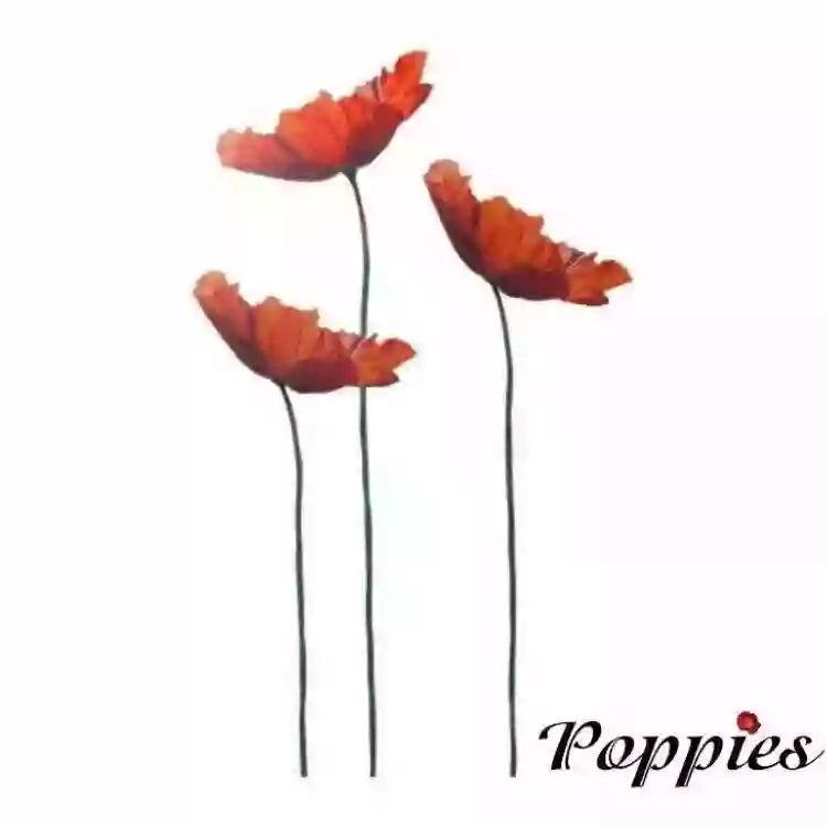 Poppies Florist