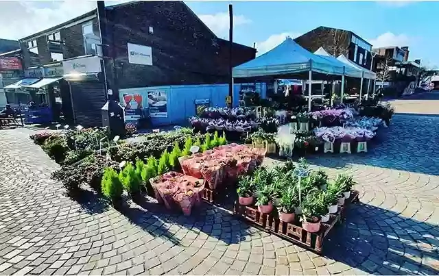 Bloomin Flowers & Plants