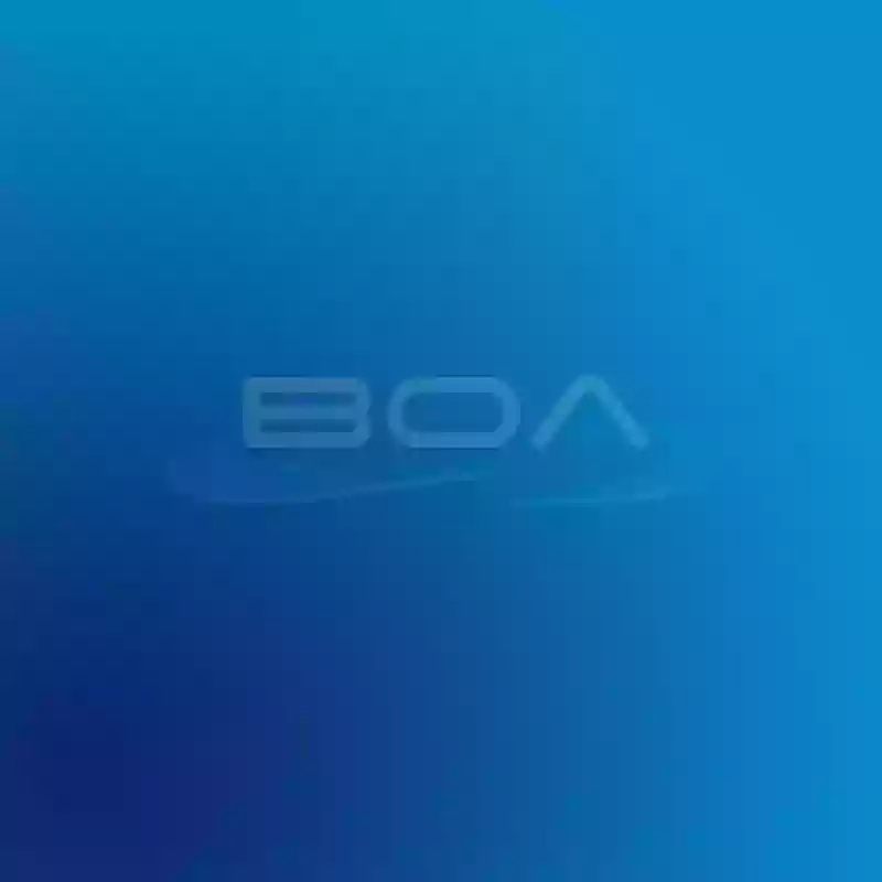 BOA Stage and Screen Academy