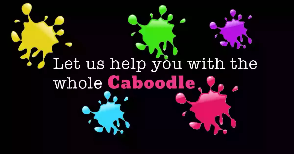 Caboodle Financial Services Ltd