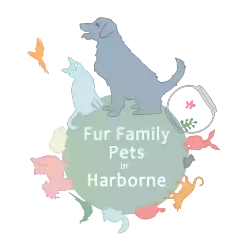 Fur Family Pets in Harborne Park Road