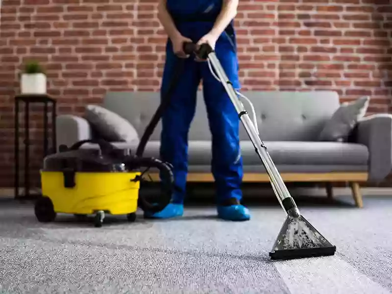 The Local Carpet Cleaner